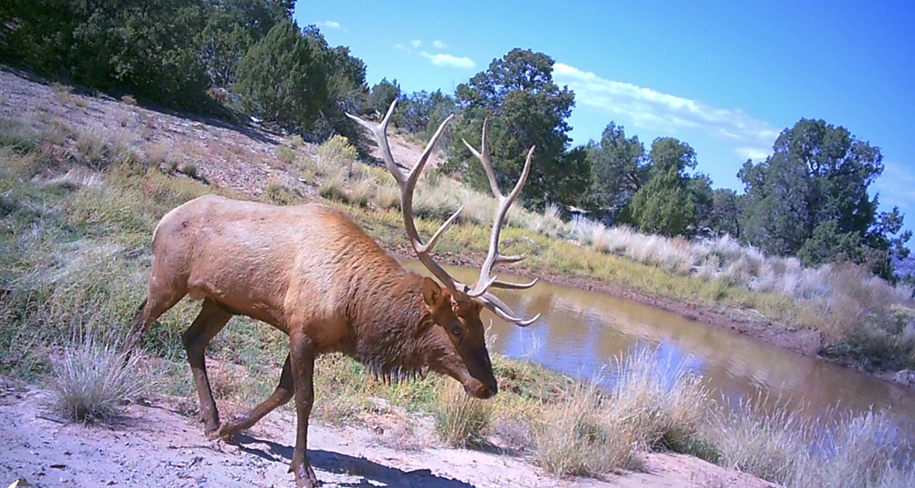 Private ranch scenery