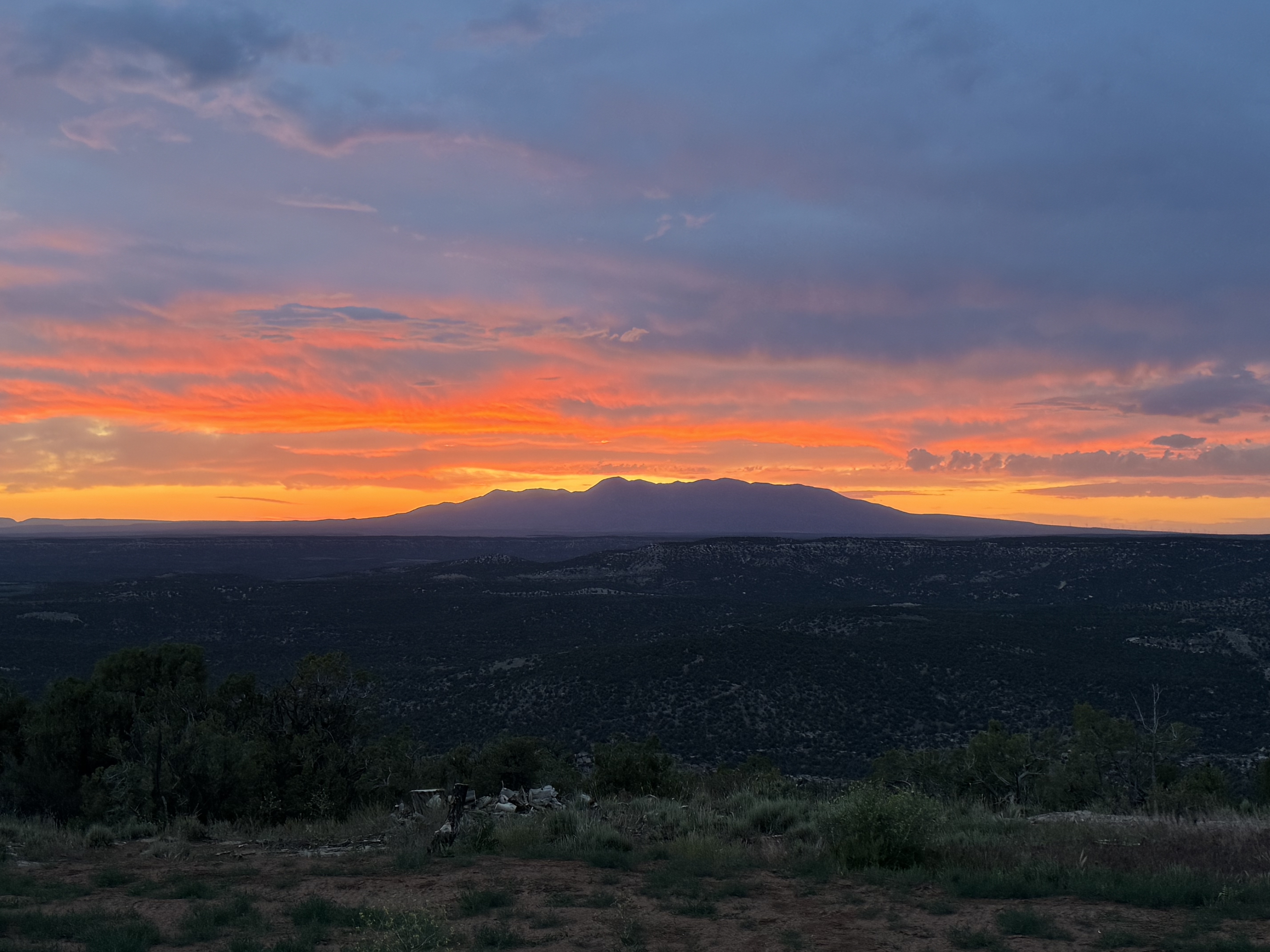 Canyon Springs scenery