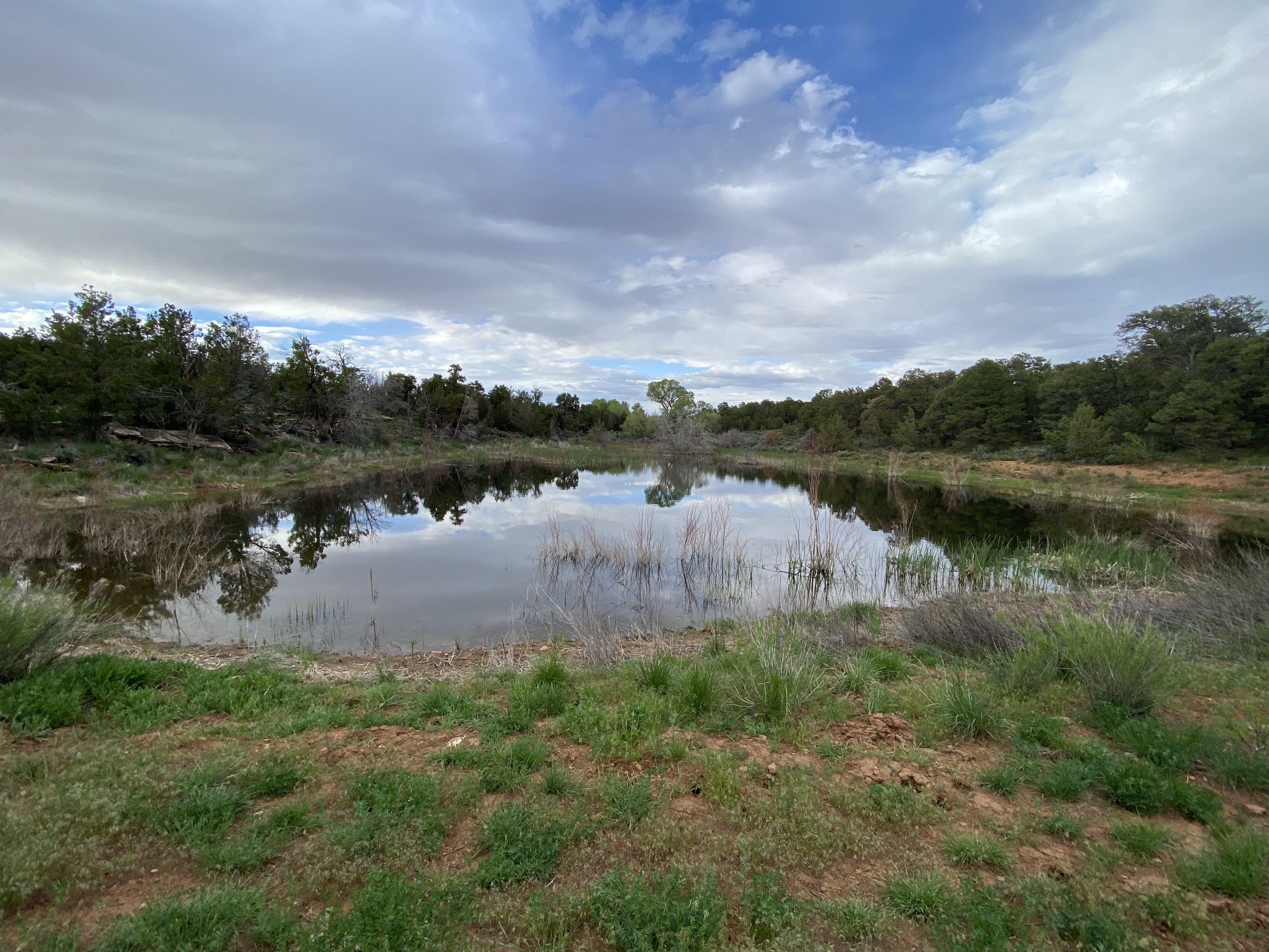 Pond on Canyon Springs property