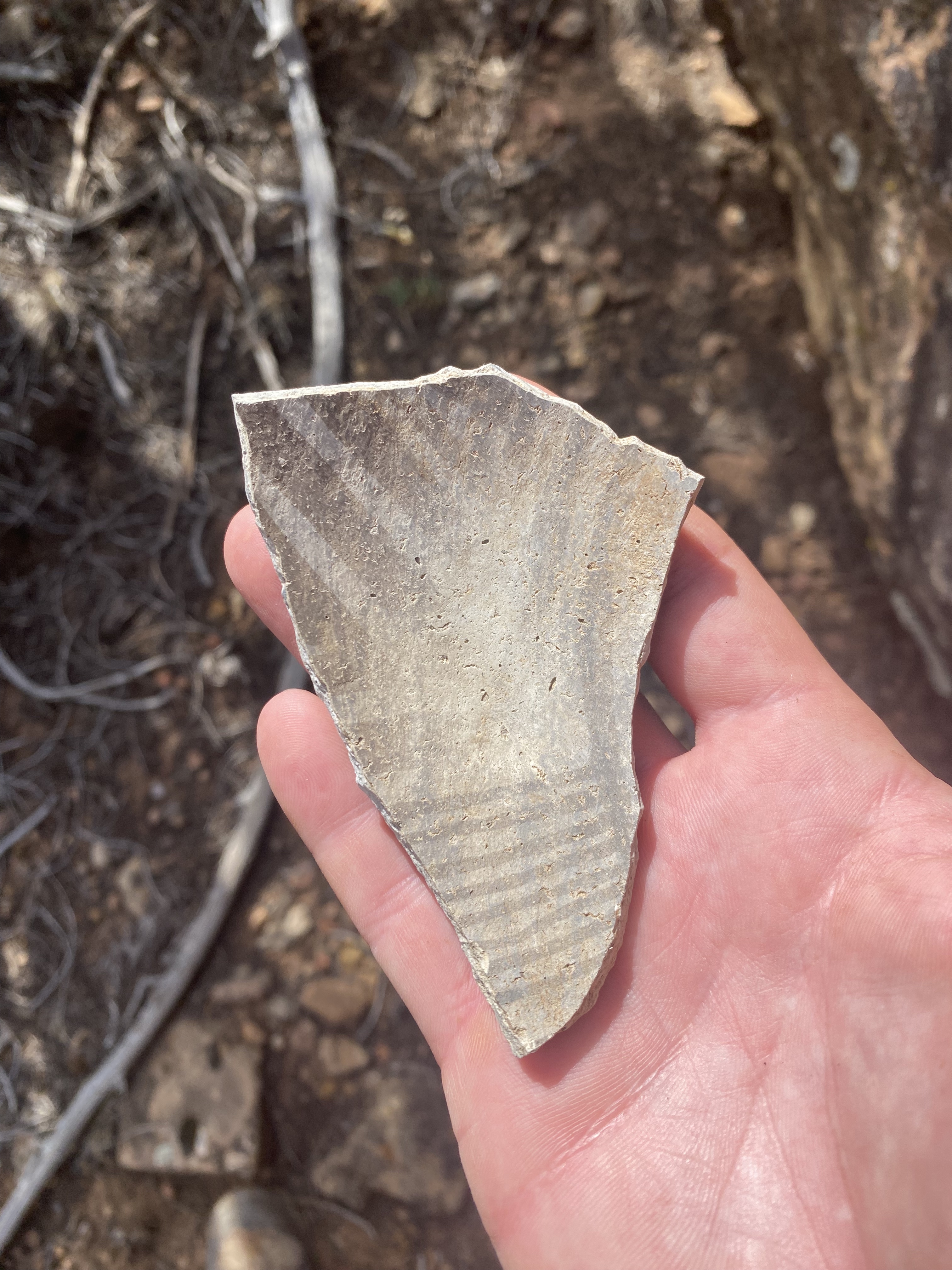 Historic pottery found on the property